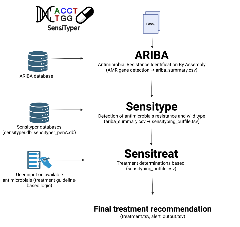 SensiTyper workflow — from raw FASTQ reads to treatment recommendations